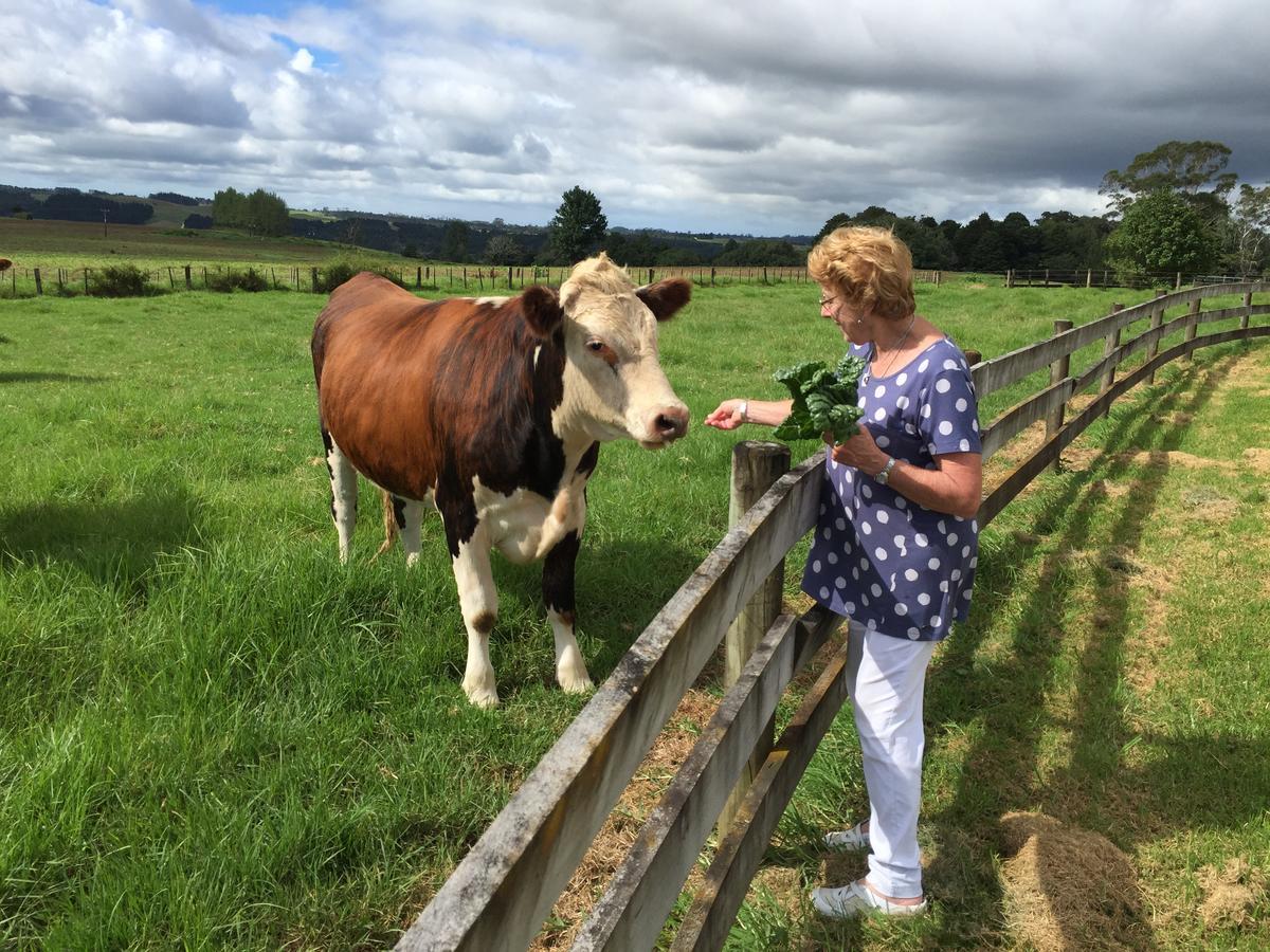 Country House B&B Waimate North Esterno foto